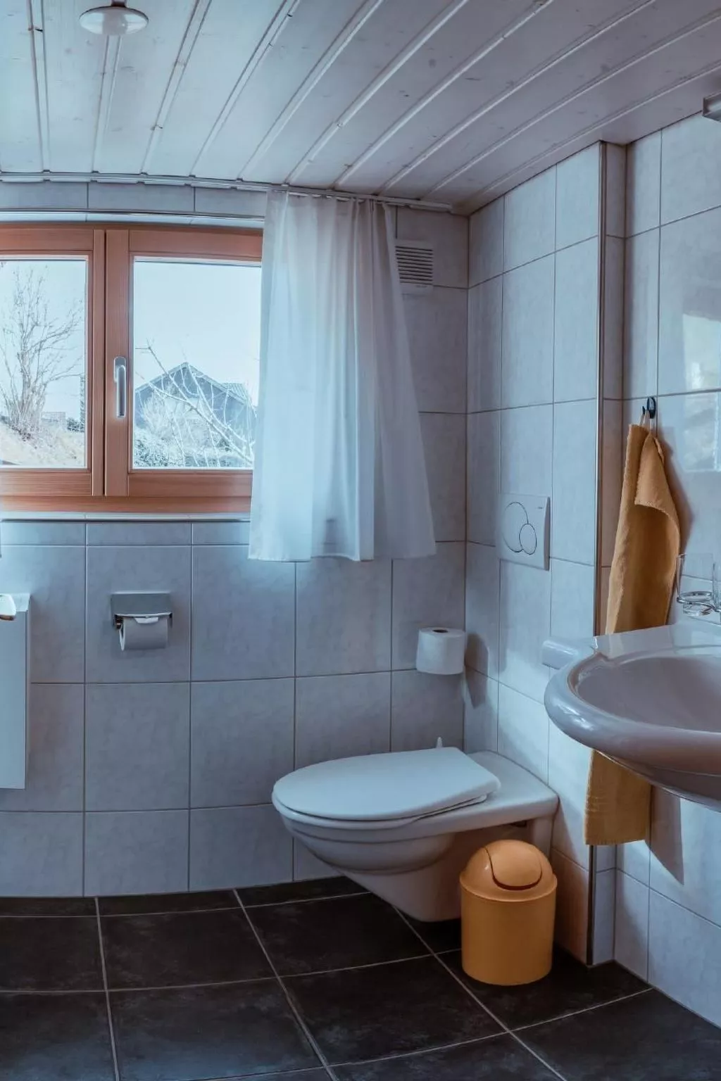 Haus Apfelbaum-Image-tags.info