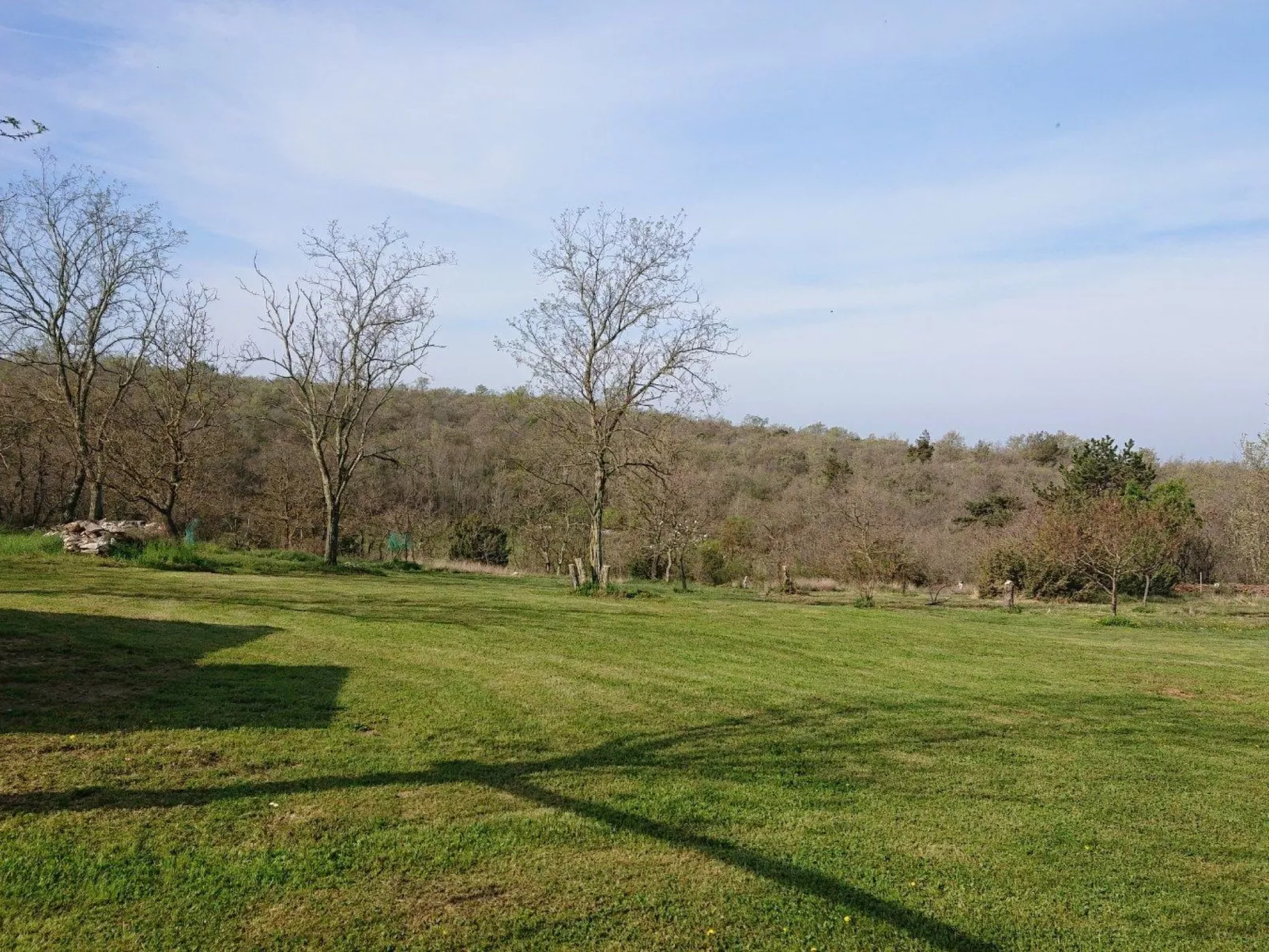 Das Haus im Wald-Buiten