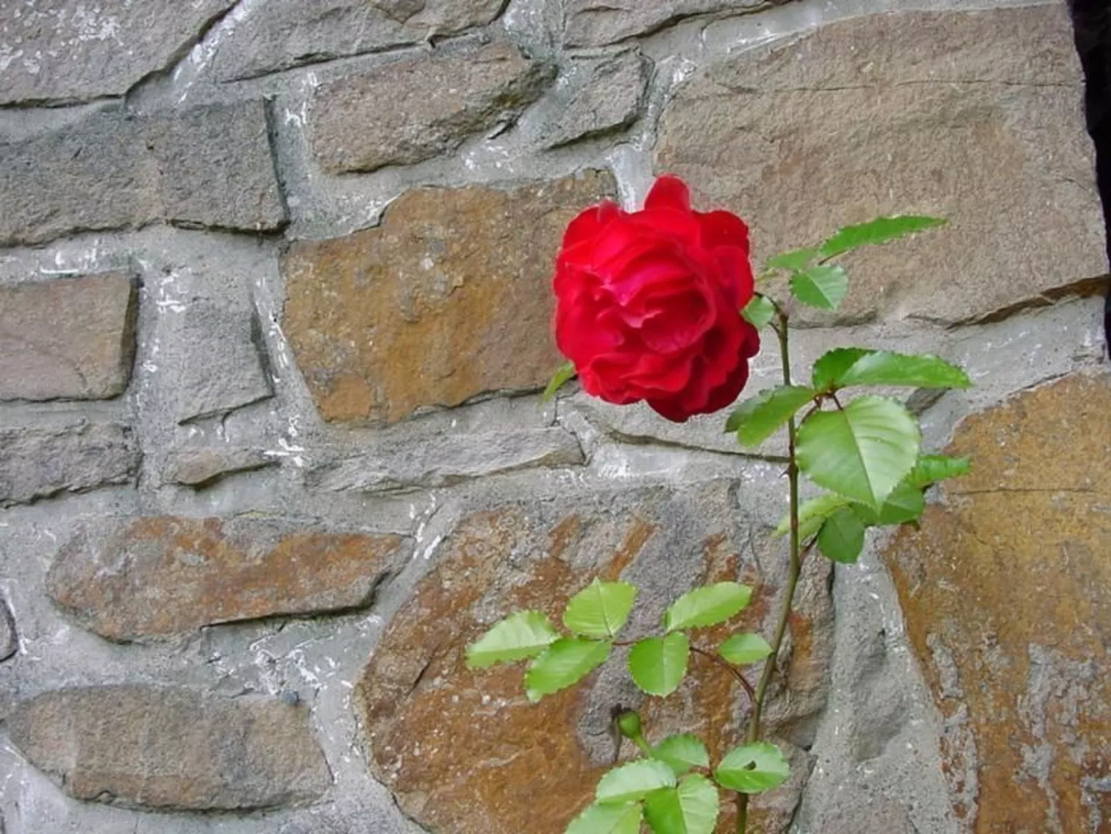 Ederseeblick in Bringhausen am Edersee-Buiten