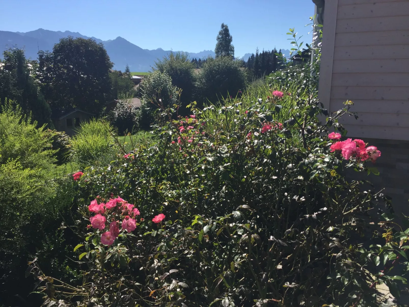 Fewo Bergblick lodge-Image-tags.info