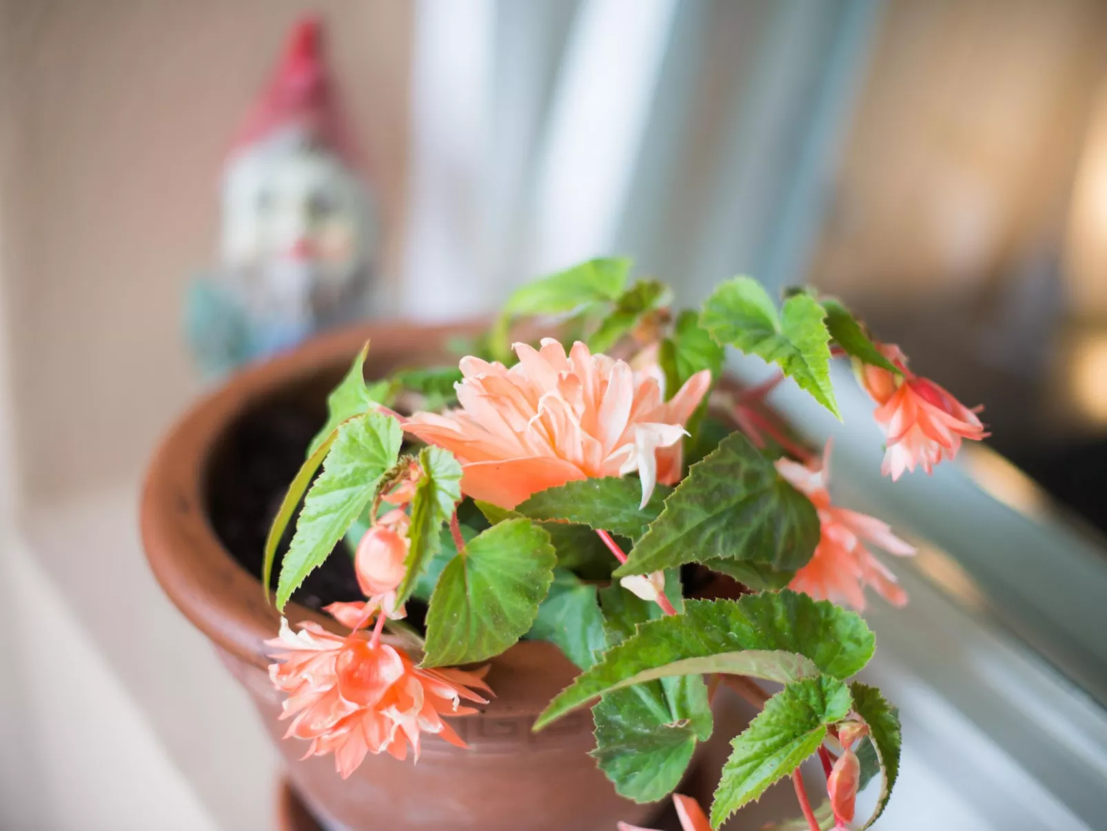 Appartement in Zasip mit Möblierter Terrasse-Binnen