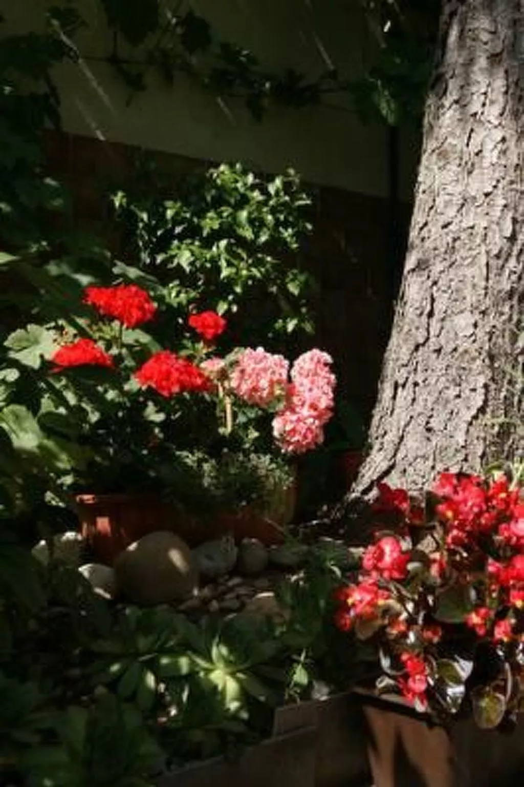 Kleine Dachwohnung-Buiten