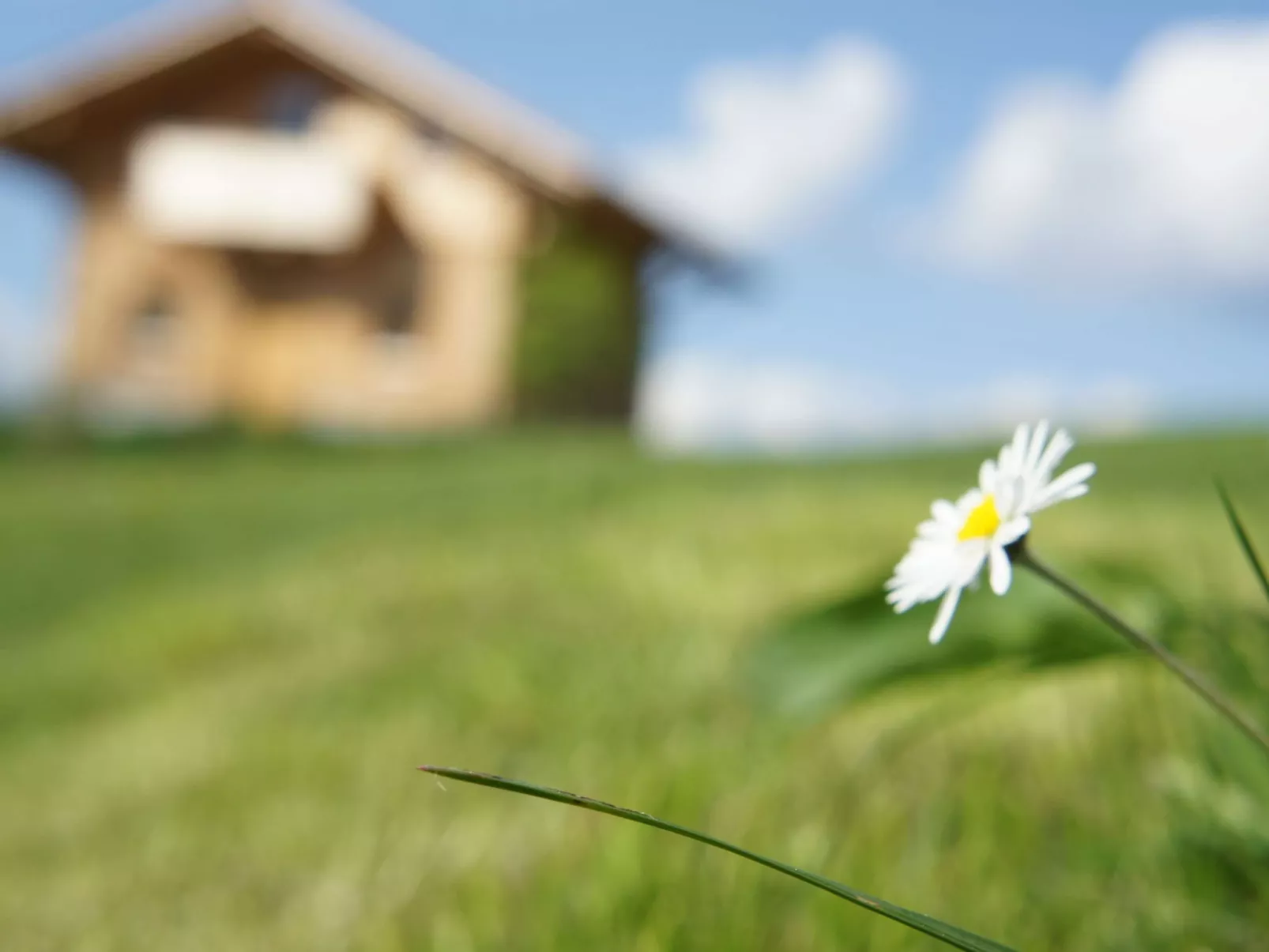 Hoizhaus am Badlberg-Buiten