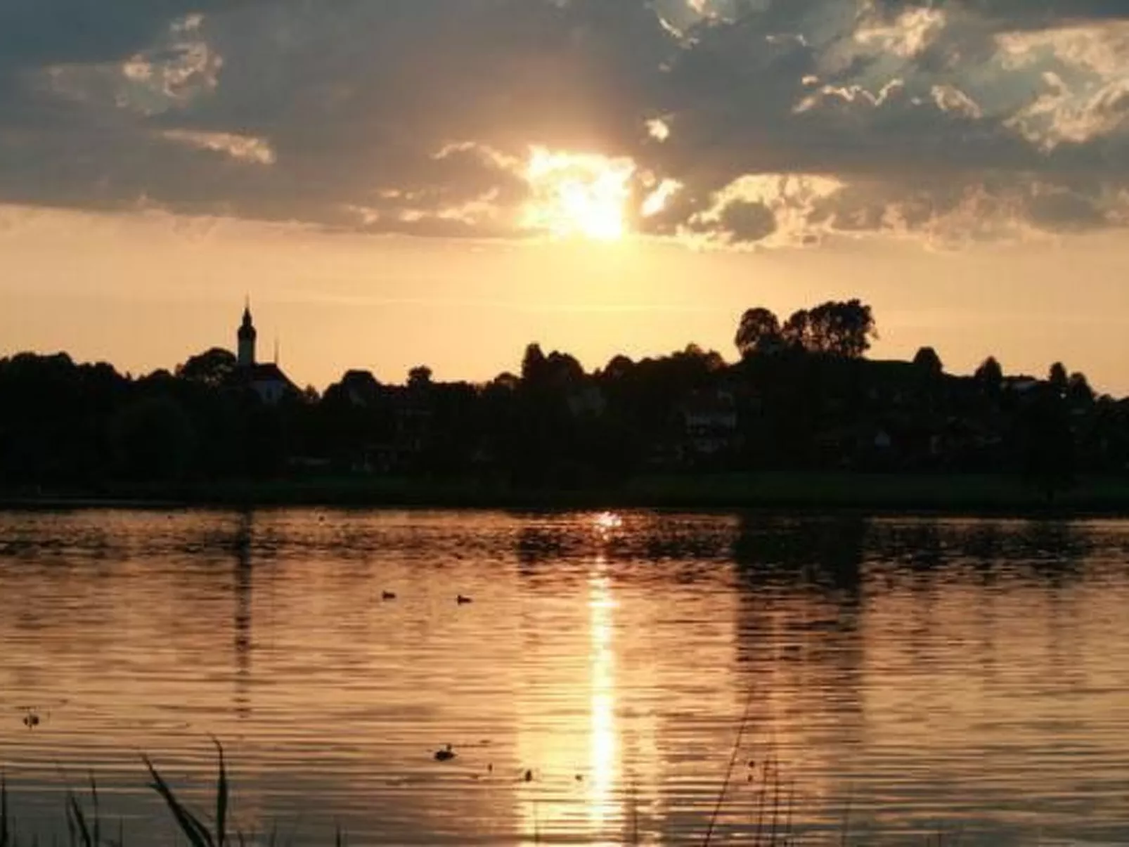 Bärli-Image-tags.info