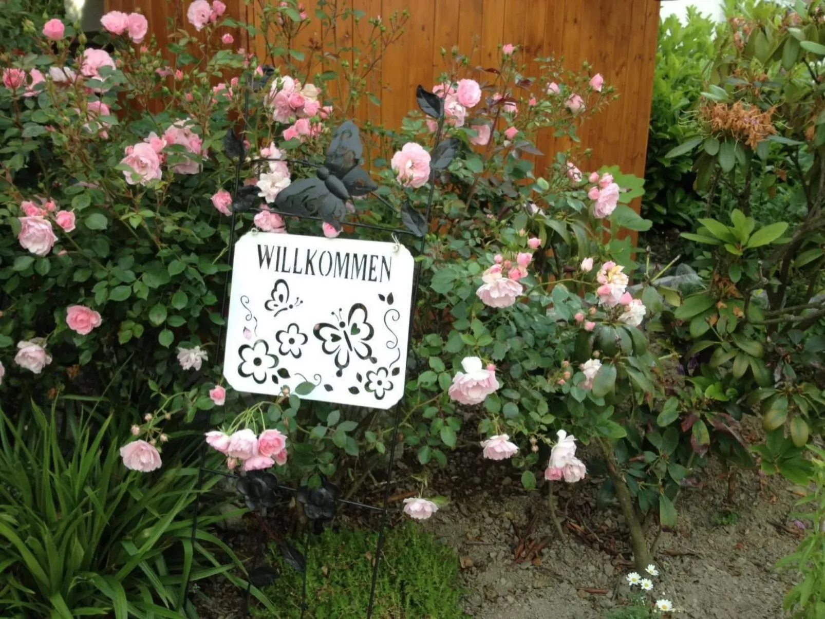 Haus Schnurbus - Image-tags.info