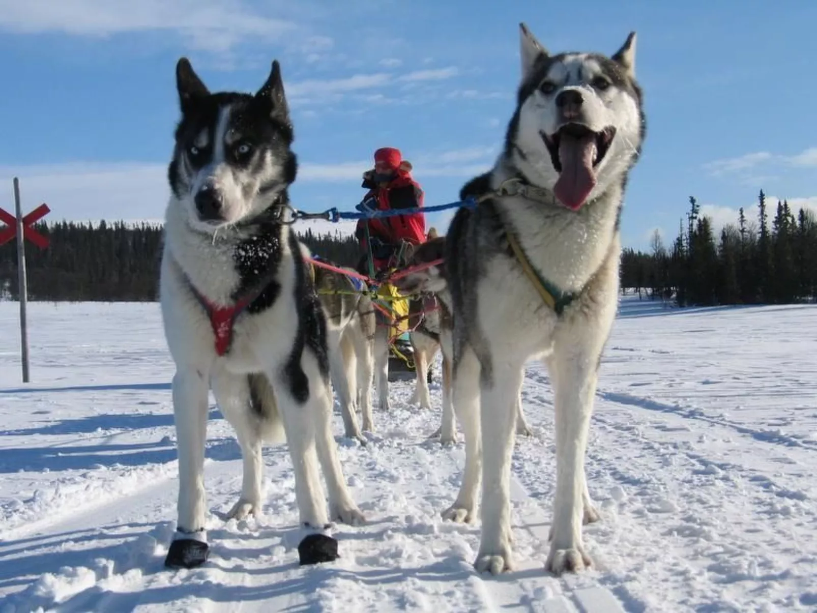 Gemütliches Blockhaus mit Kamin im Oviksfjäll-Buiten