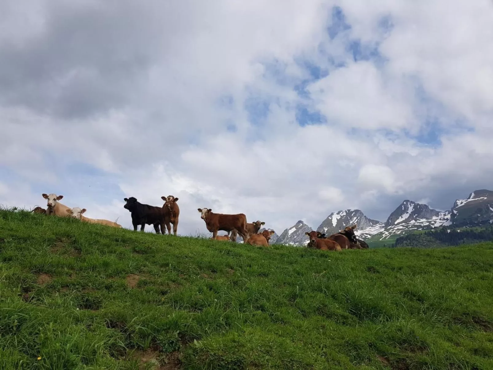 Ferien im Gugger - Wohnung Stockberg-Buiten