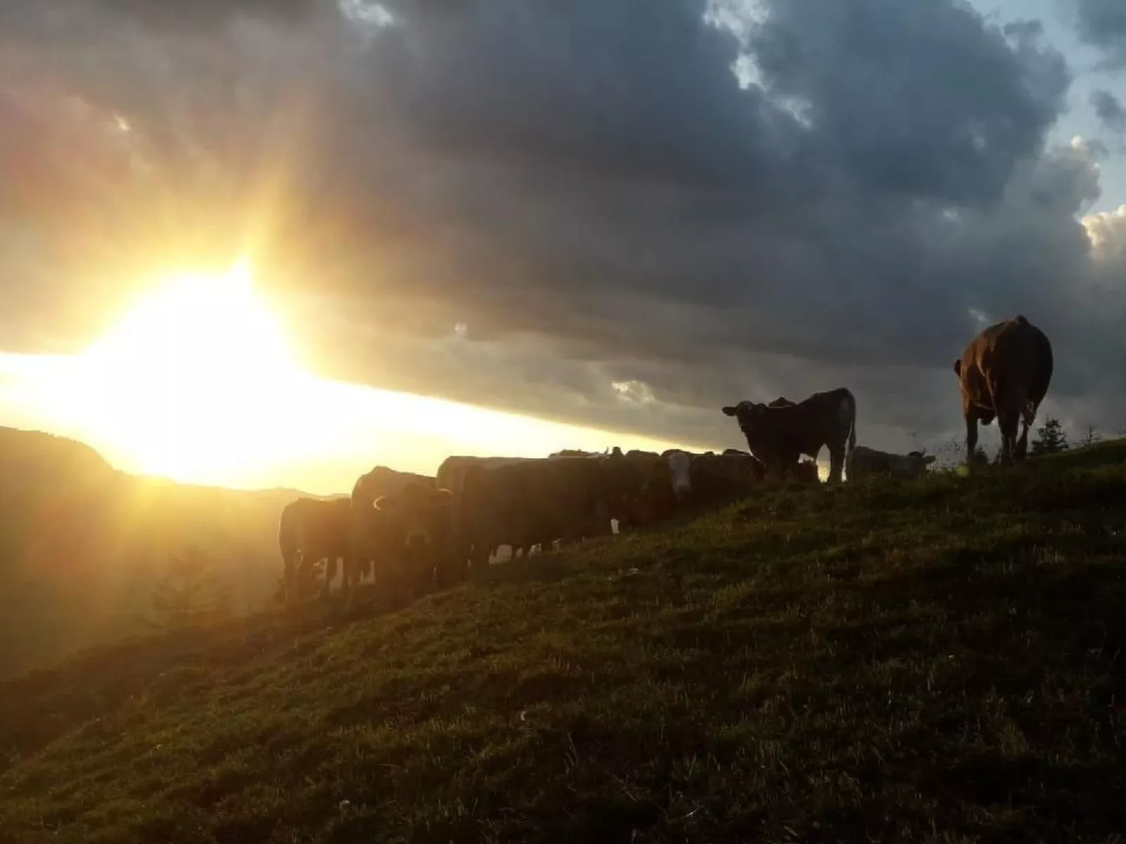 Ferien im Gugger - Wohnung Churfirsten-Buiten