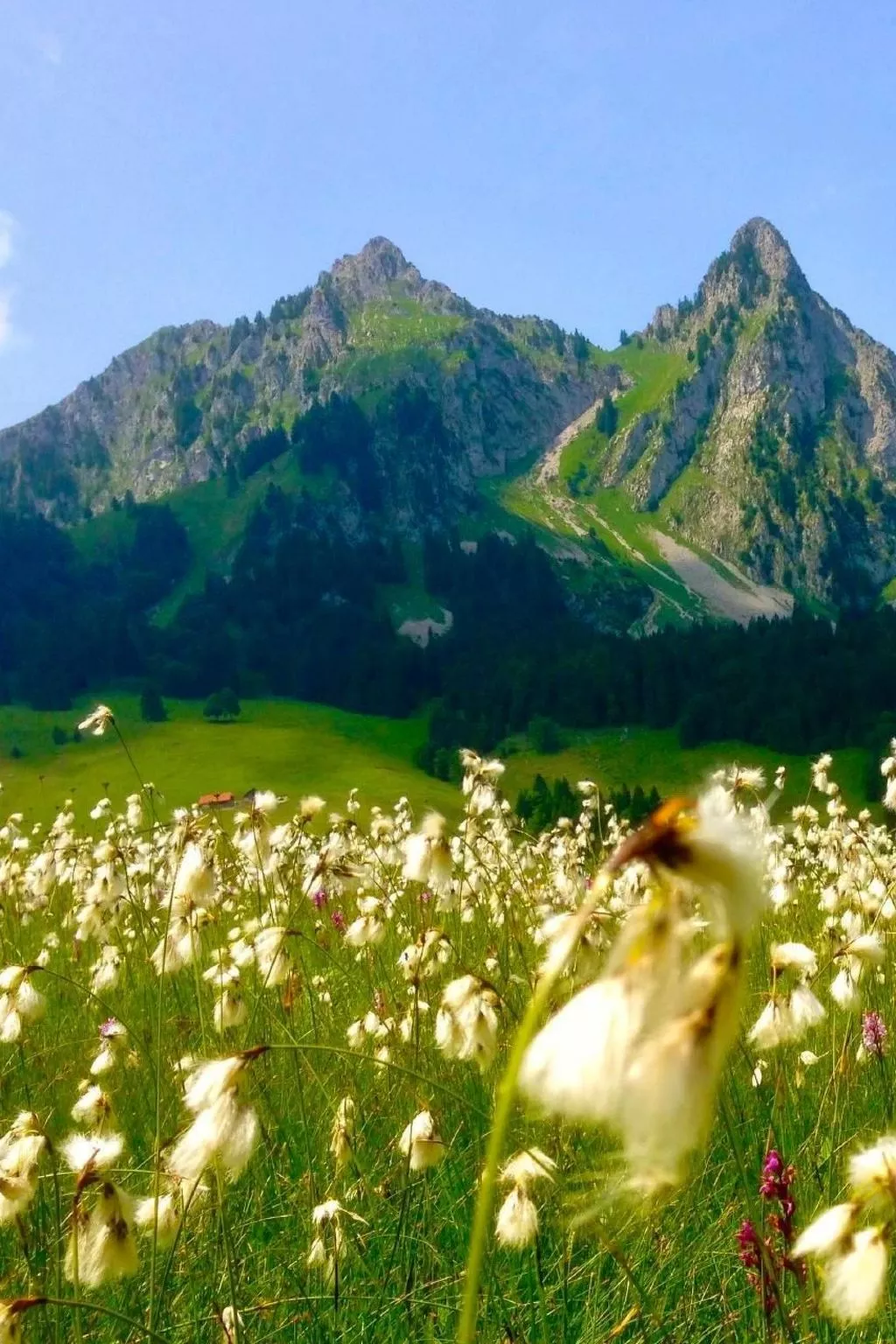 Brunni-Alpthal direkt an den Mythen-Bergen-Buiten