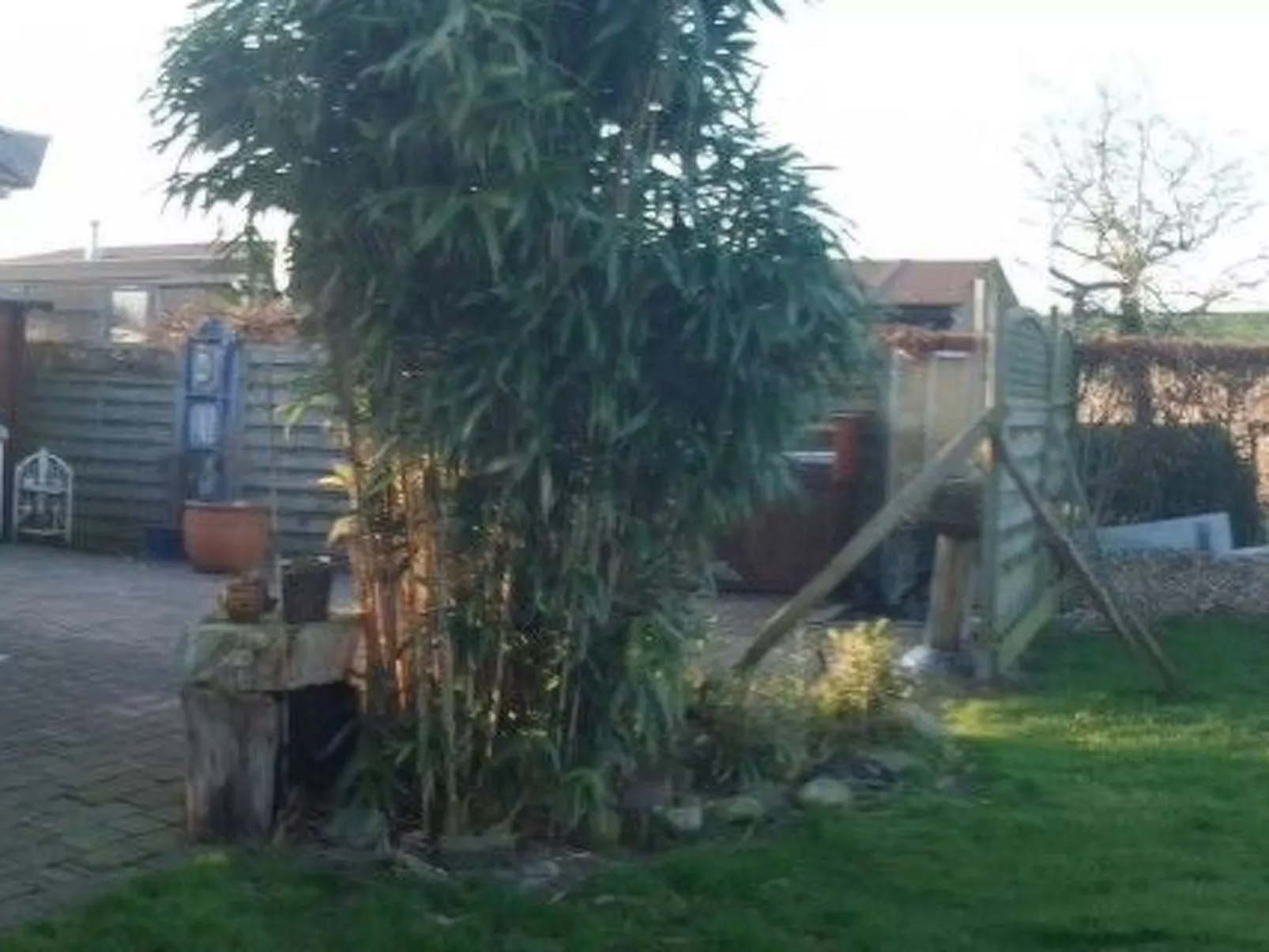 203 Marijke-Image-tags.info