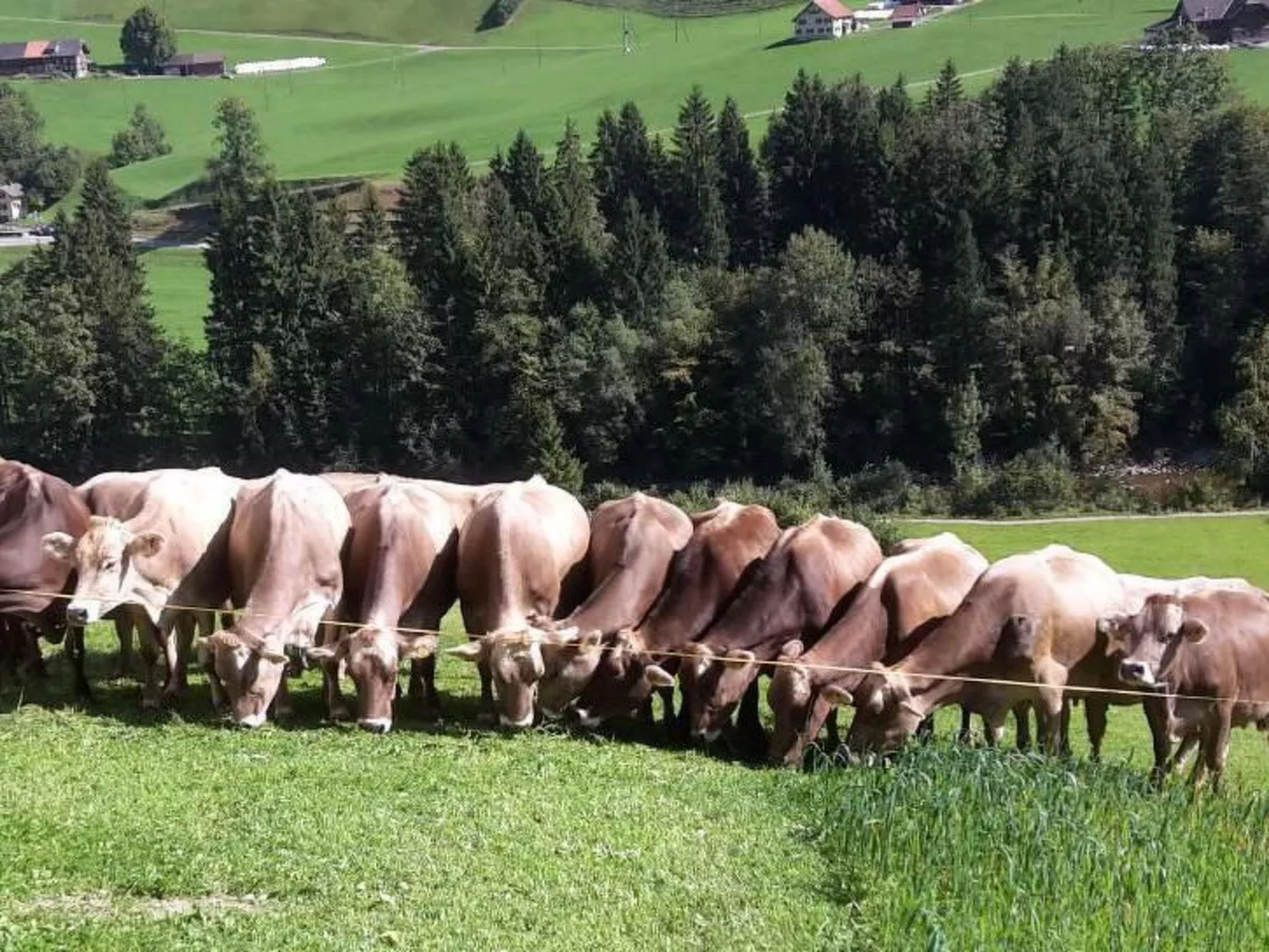 Schwändelifluh-Buiten