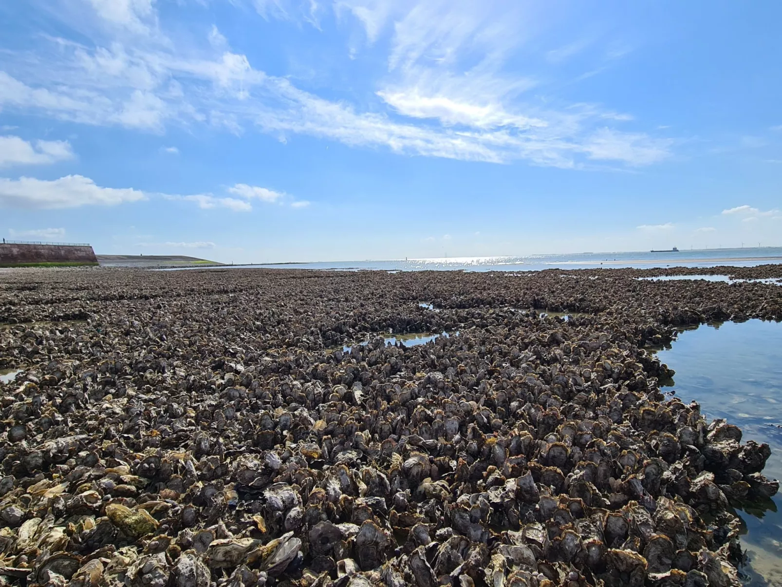 "Zeezicht" mit einzigartigem Meerblick-Buiten
