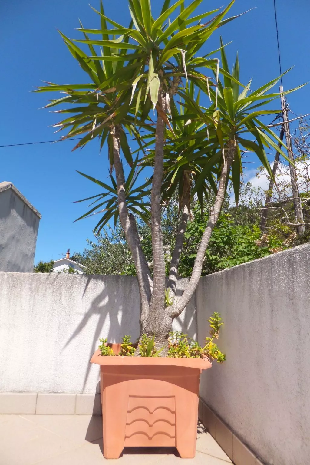 Appartement 6 - mit einer großen Terrasse-Buiten