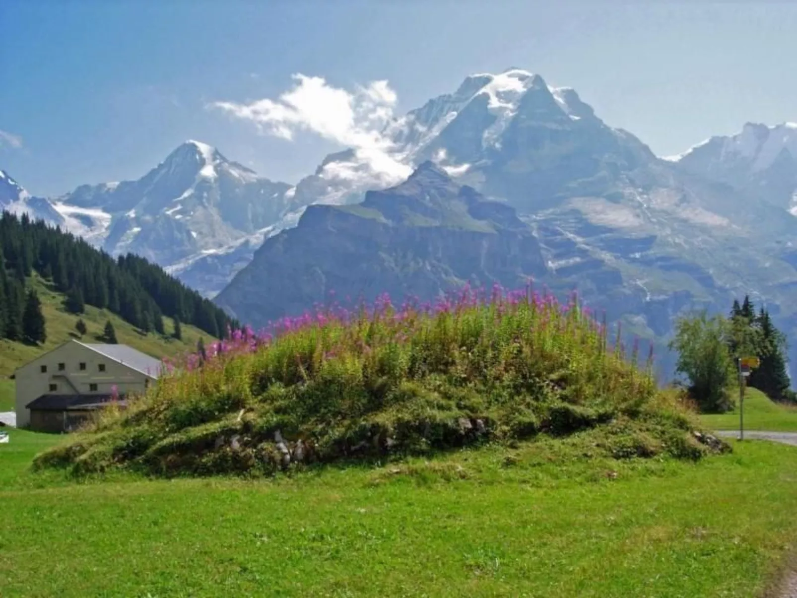 Am Lehn-Image-tags.info