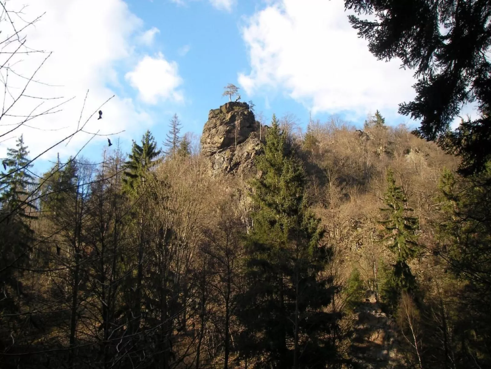 Haus "Hermann"-Buiten