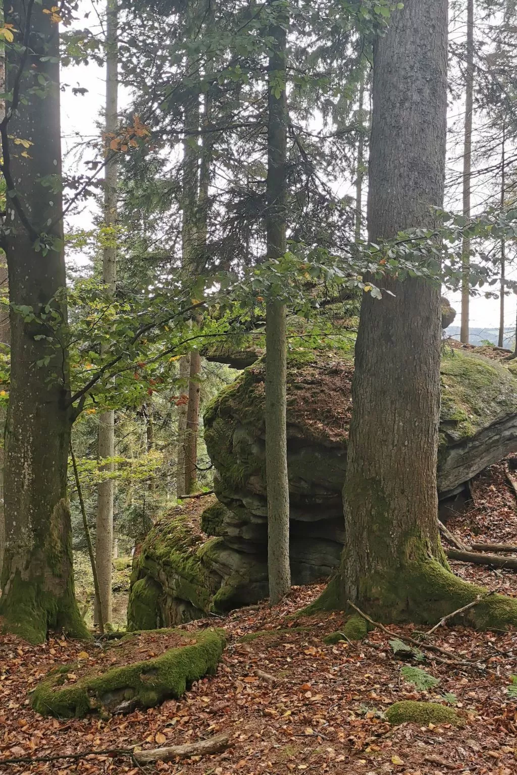 Apartment Lercher-Image-tags.info