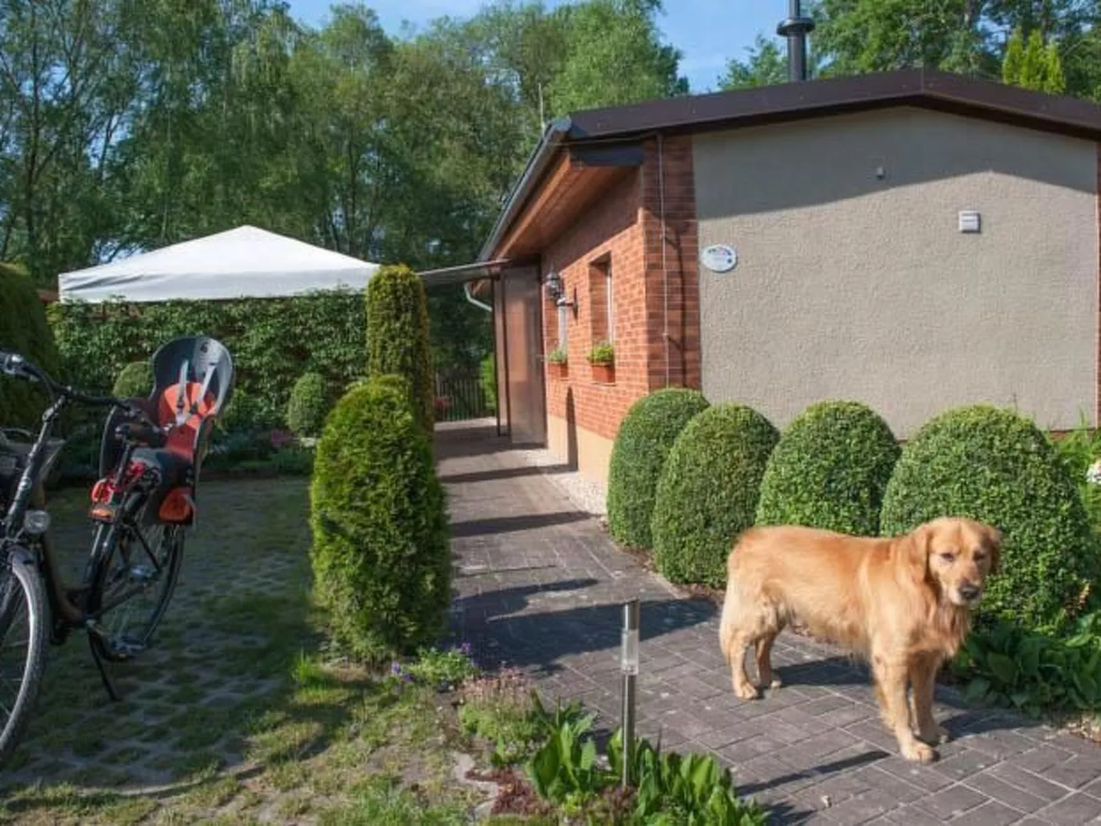 In Alt-Schadow mit Grill und Terrasse-Buiten