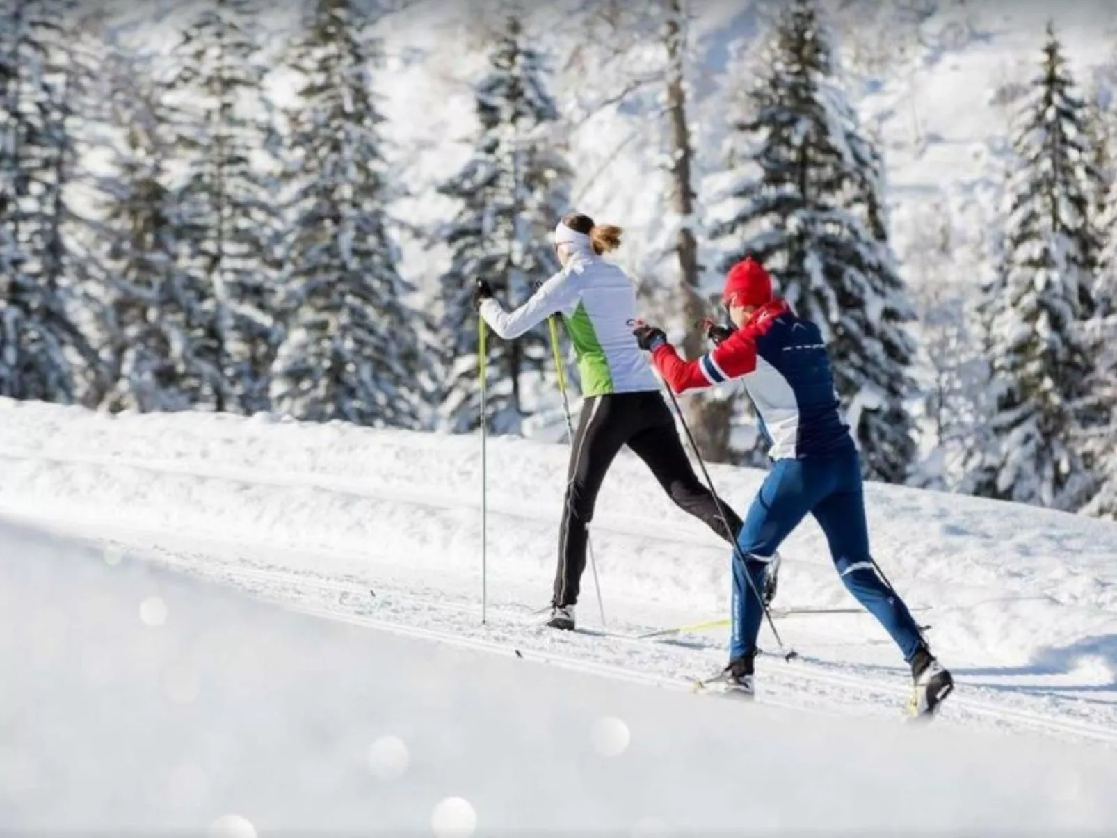 Bayernwald Apartment-Image-tags.info