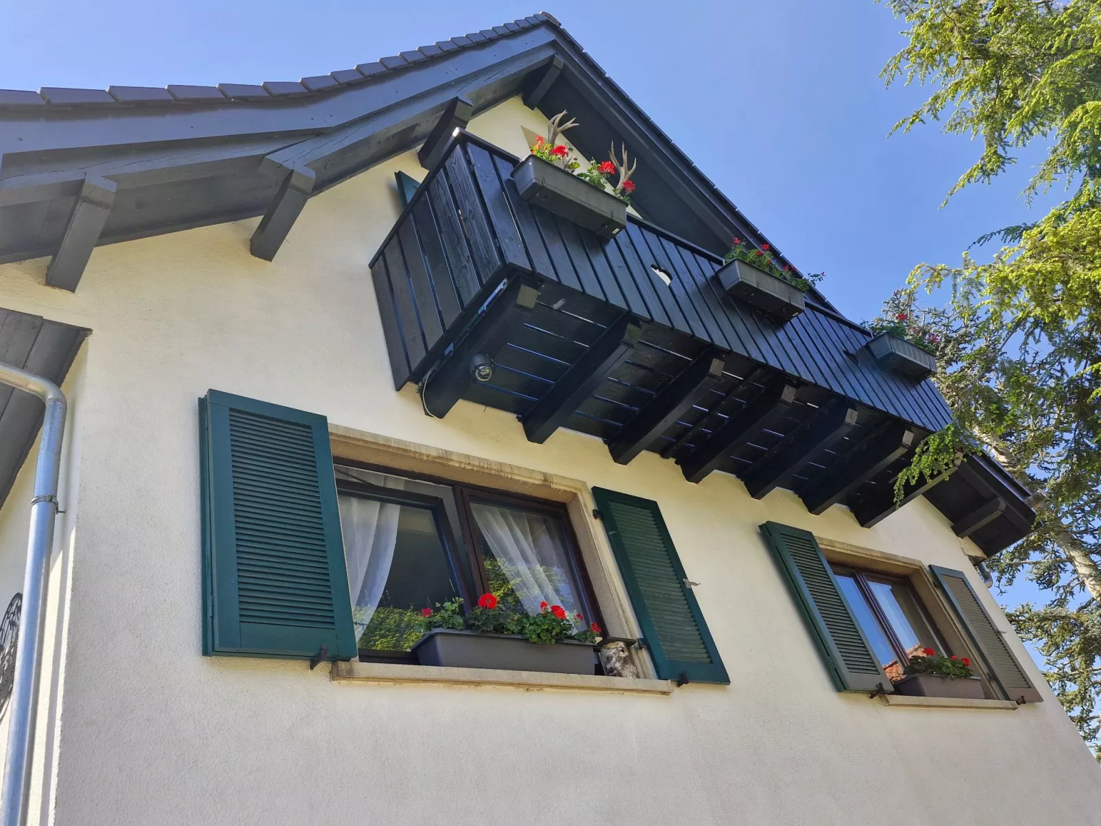 Schwarzwald Königin-Buiten