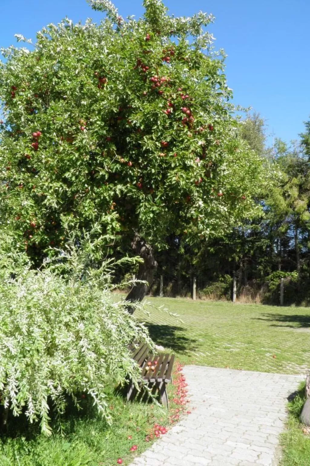 Appartement in Lütow mit Grill-Buiten