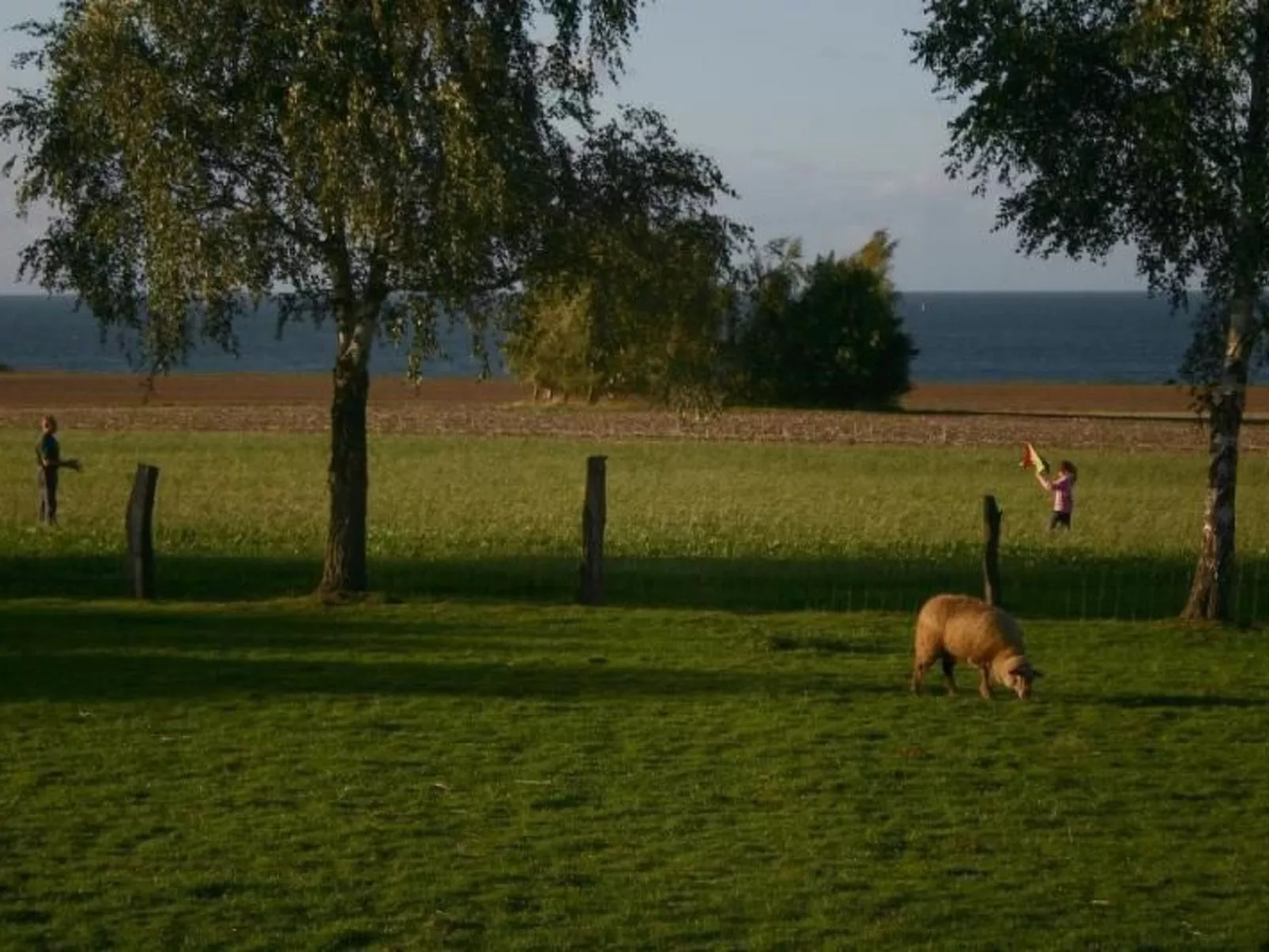 Mit Meerblick - direkt an der Ostsee-Image-tags.info