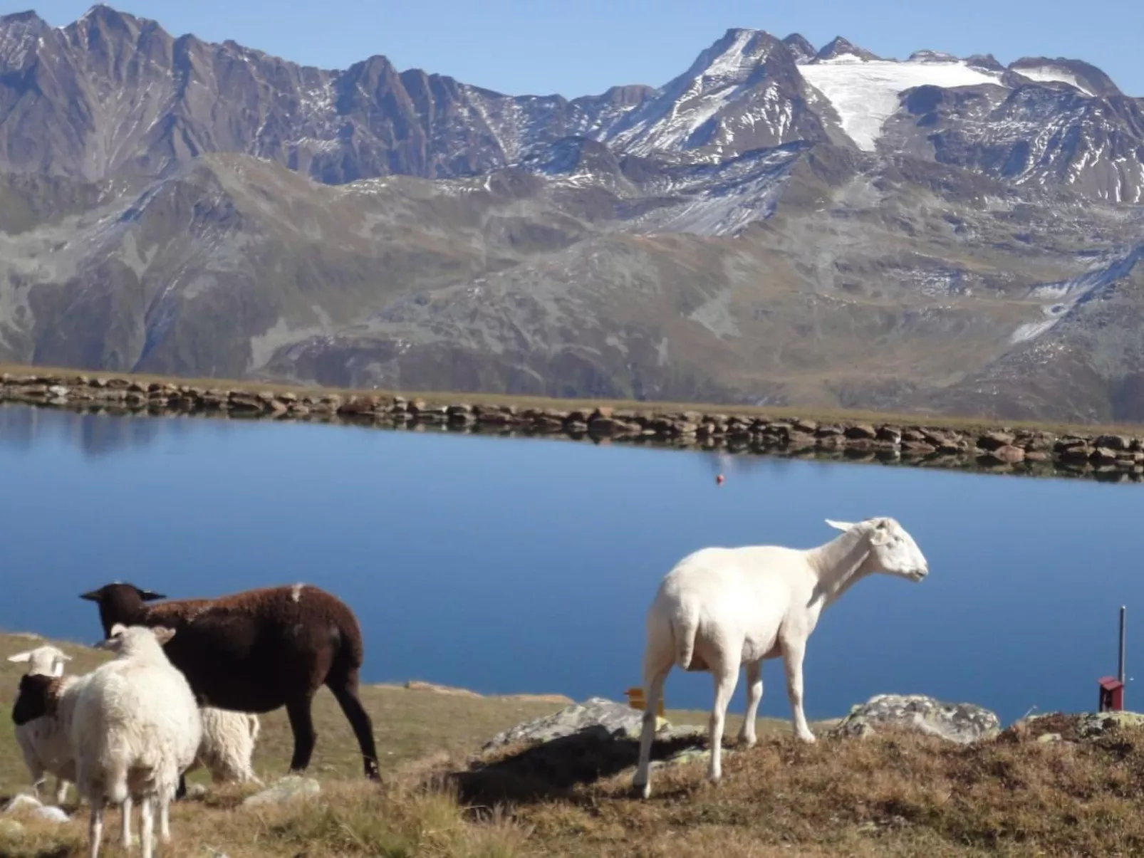 Chalet Stefanino, 3 1/2 Zimmer-Buiten