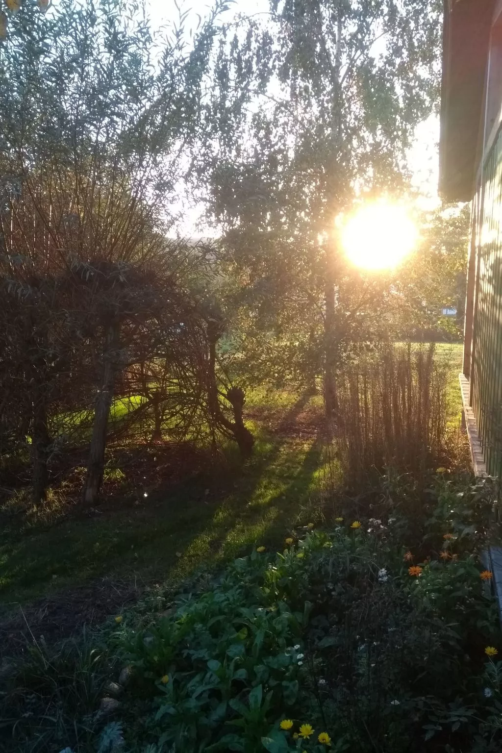 Urlaub Zirkuswagen-Image-tags.info