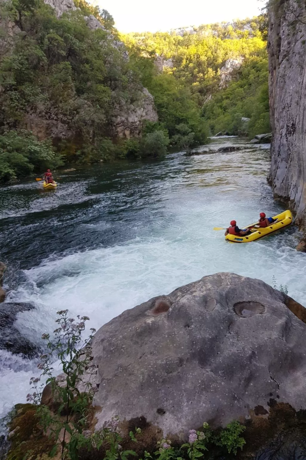 La Finca OliveTree-Buiten