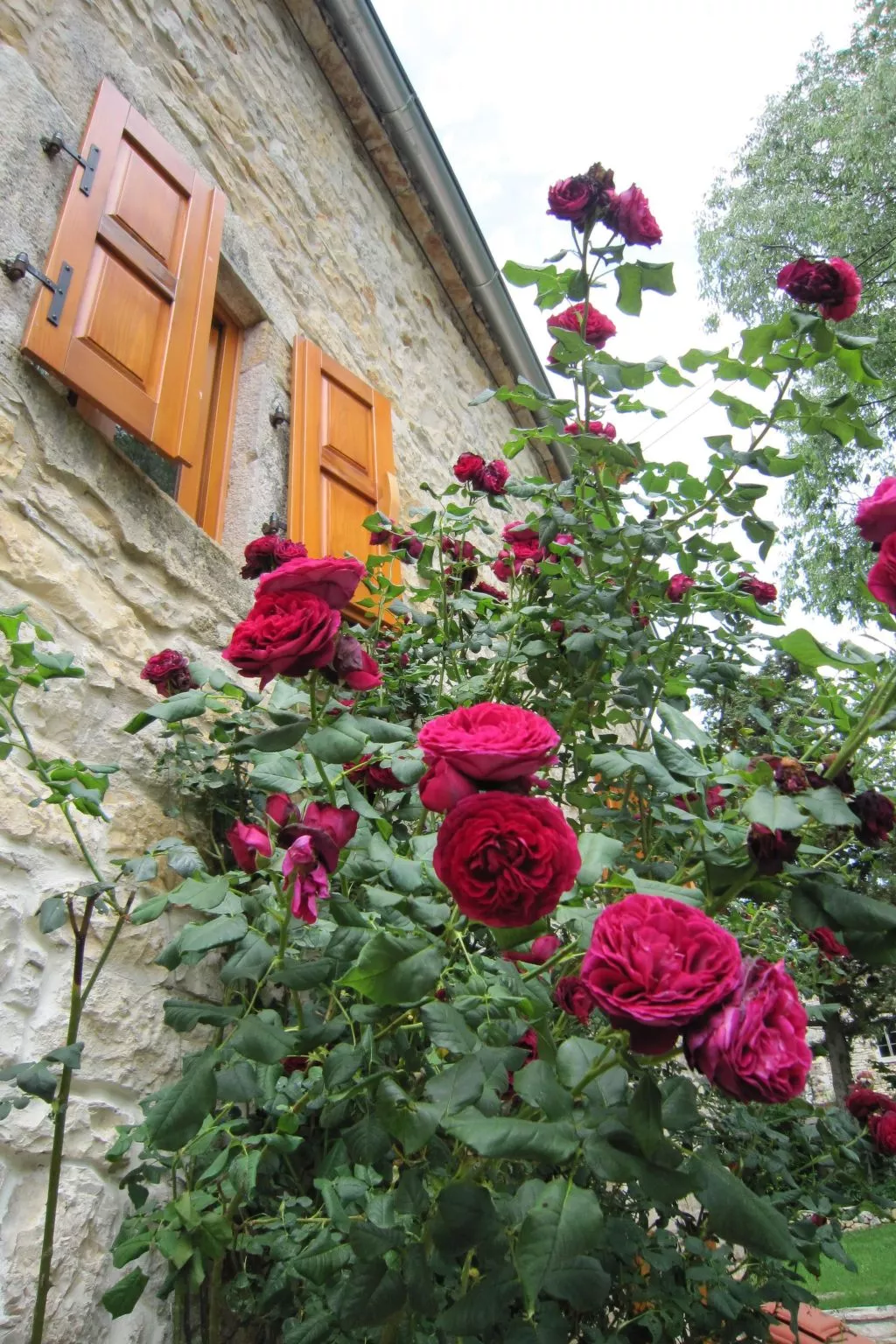 Casa Gaia Grande-Buiten