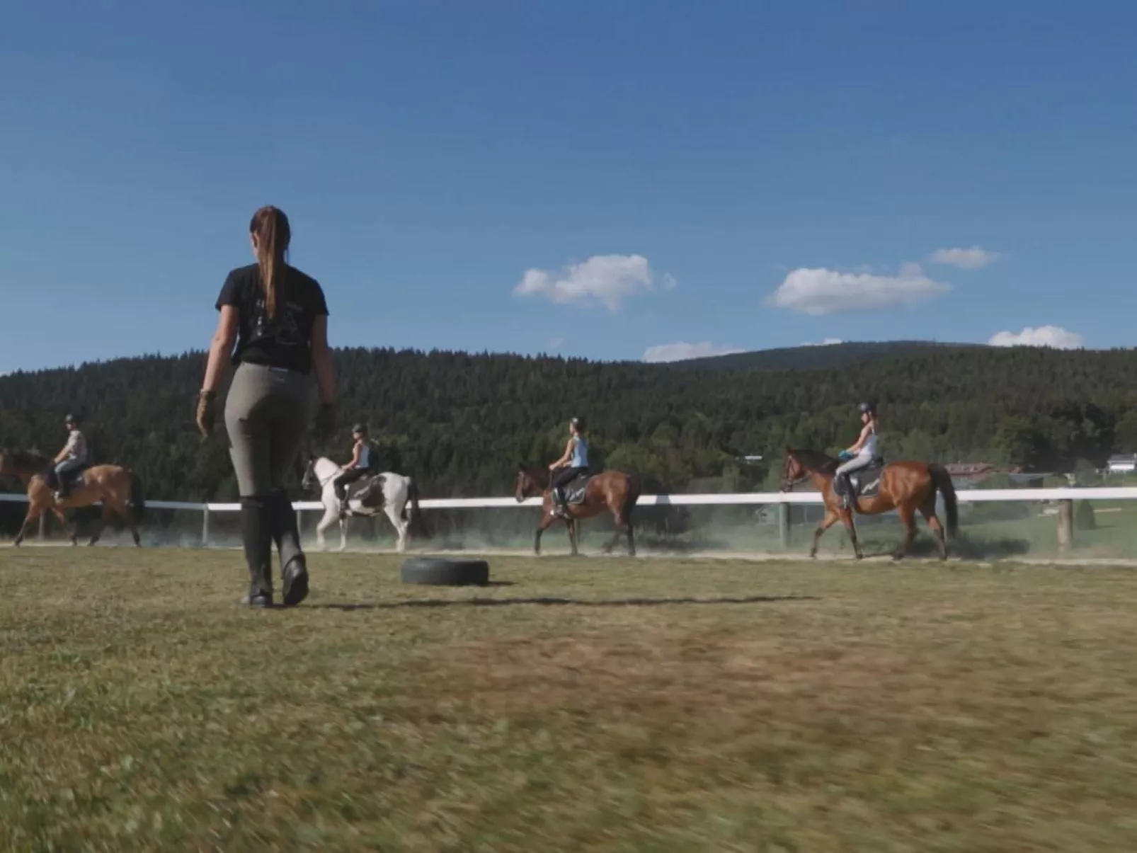 Wohnung Dreisessel im Bayerischen Wald-Image-tags.info