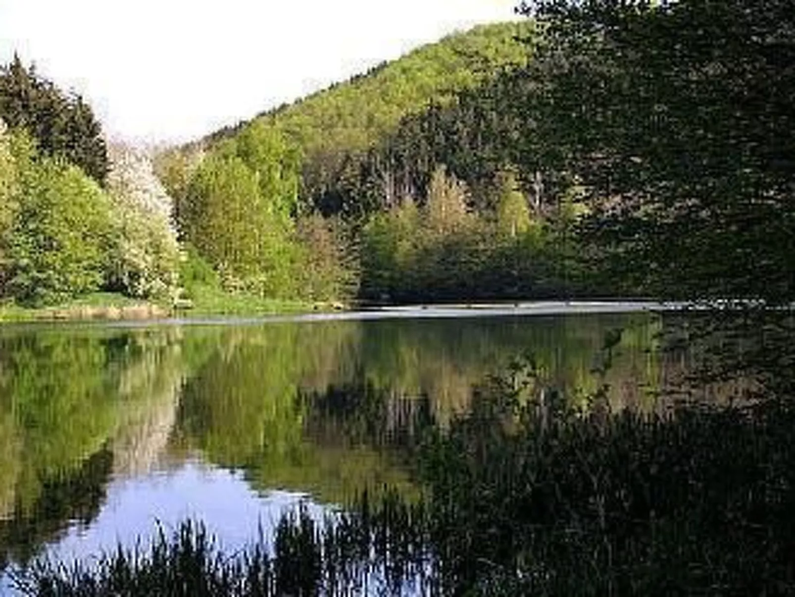 Ferien-Apartment  1-Image-tags.info