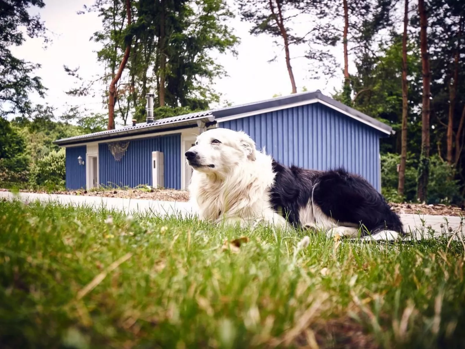 Anne-Image-tags.info