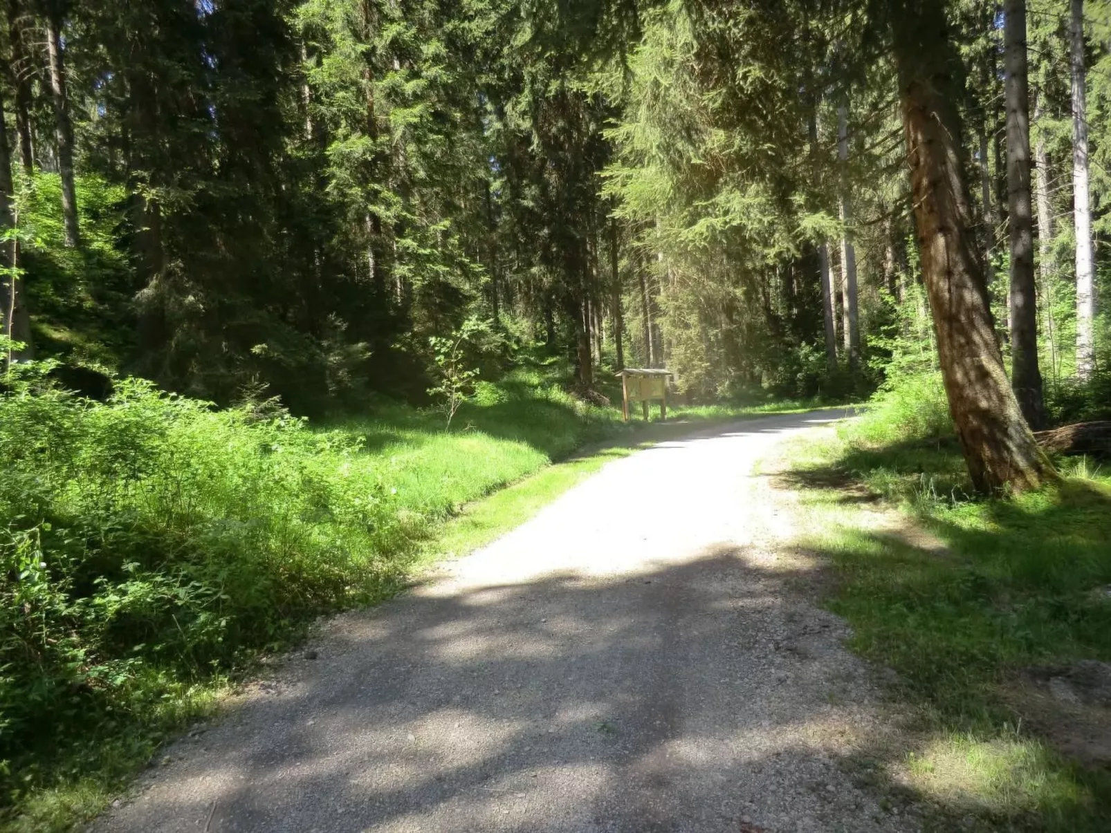 Irenahaus-Image-tags.info