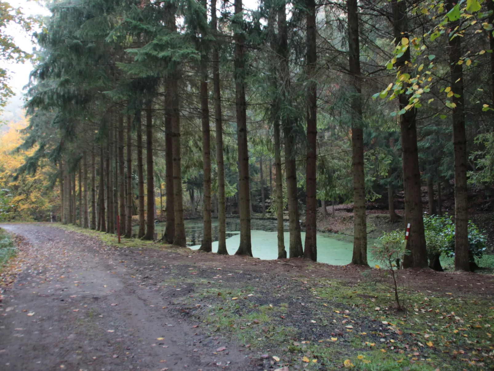 Haus Schmetterfly-Buiten