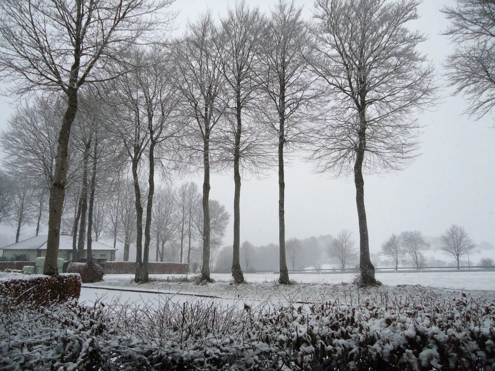 Am Hohen Venn-Buiten