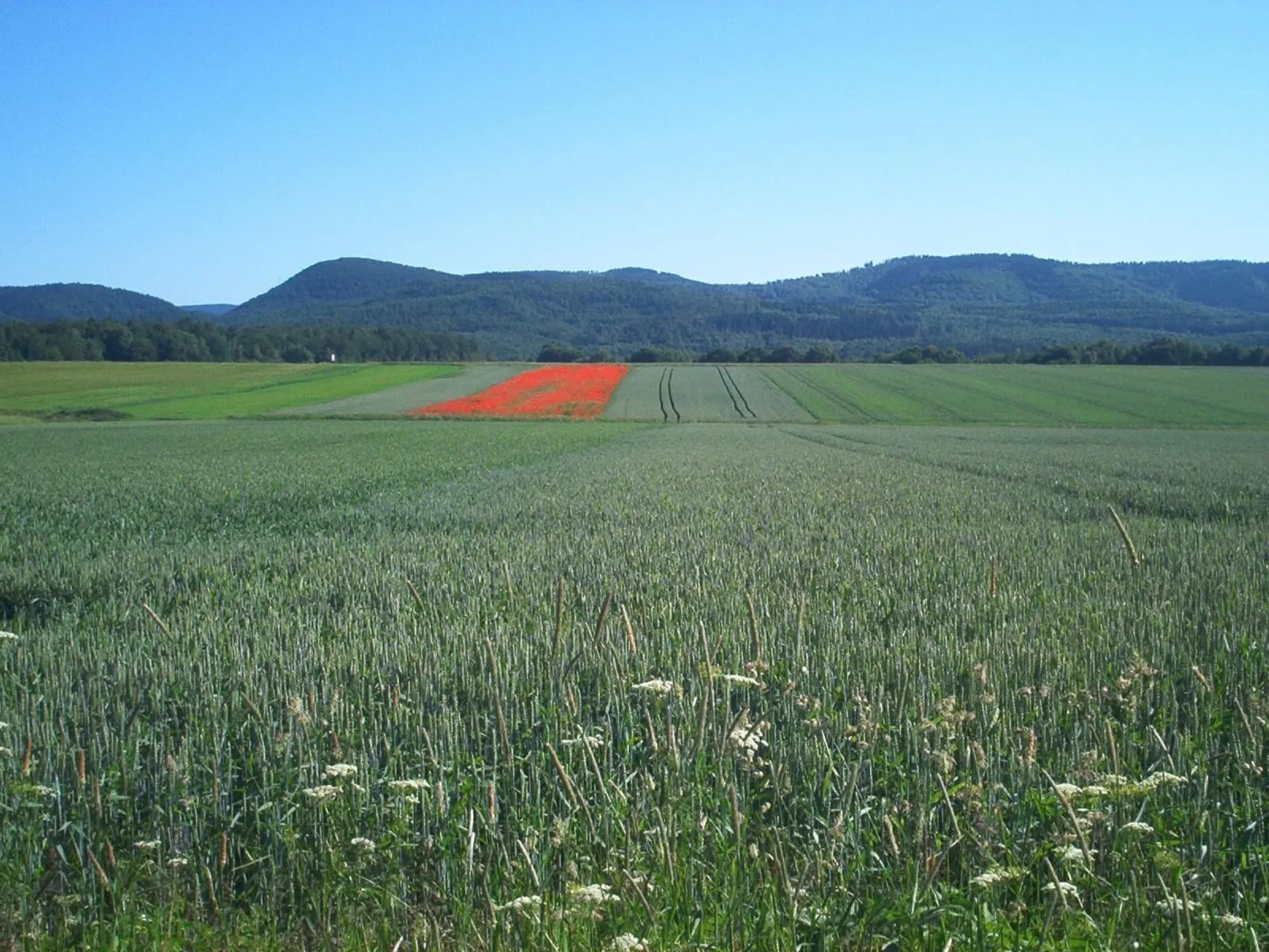 Fewo Stricker 11,-Buiten