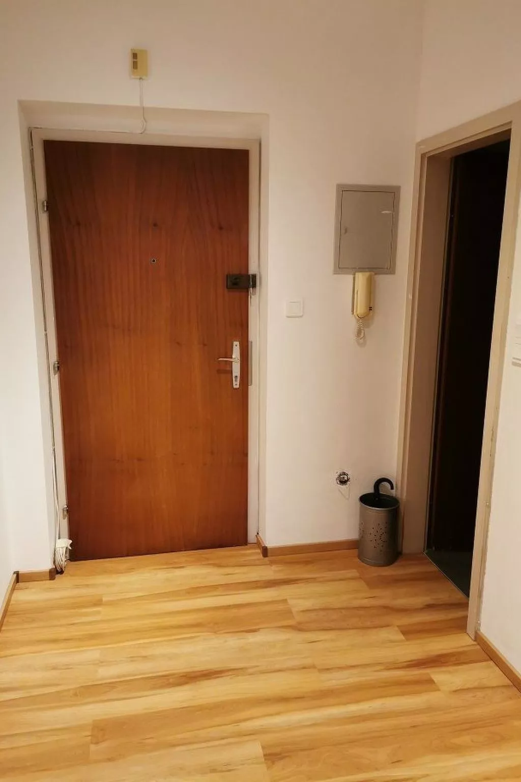 Graz Green Studio-Image-tags.info