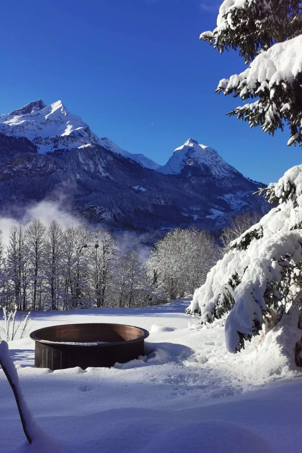 Rauft-Image-tags.info