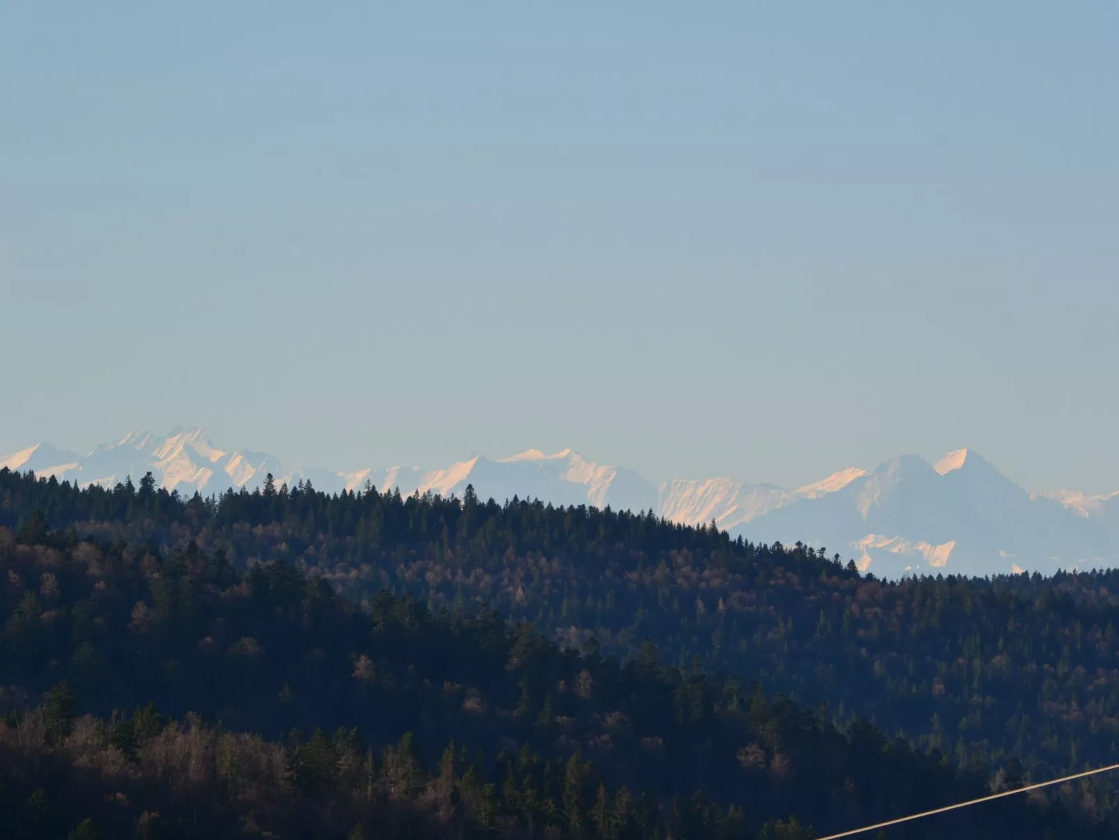 Fichtenstueble-Image-tags.info