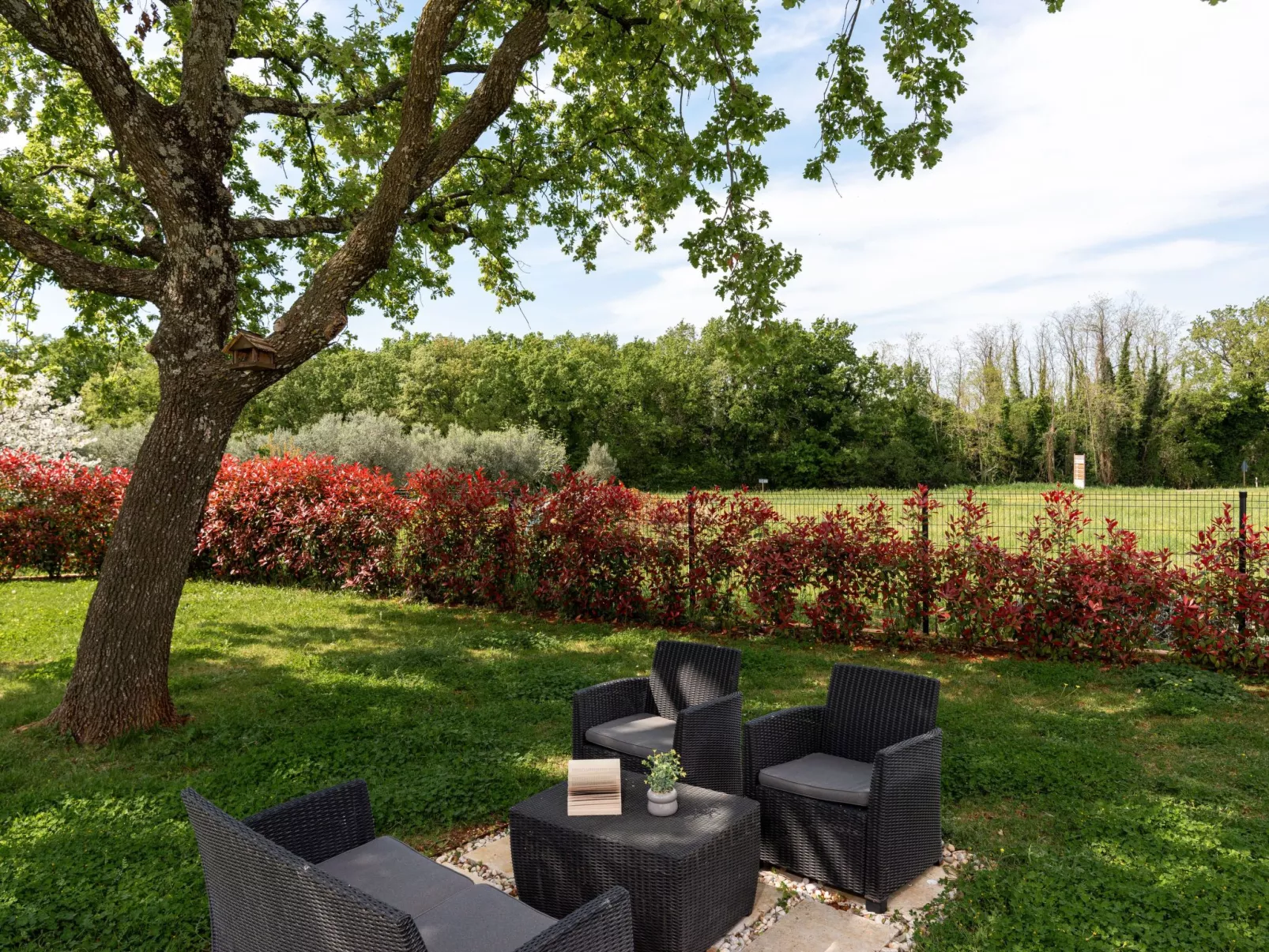 Villa Arancin-Image-tags.info