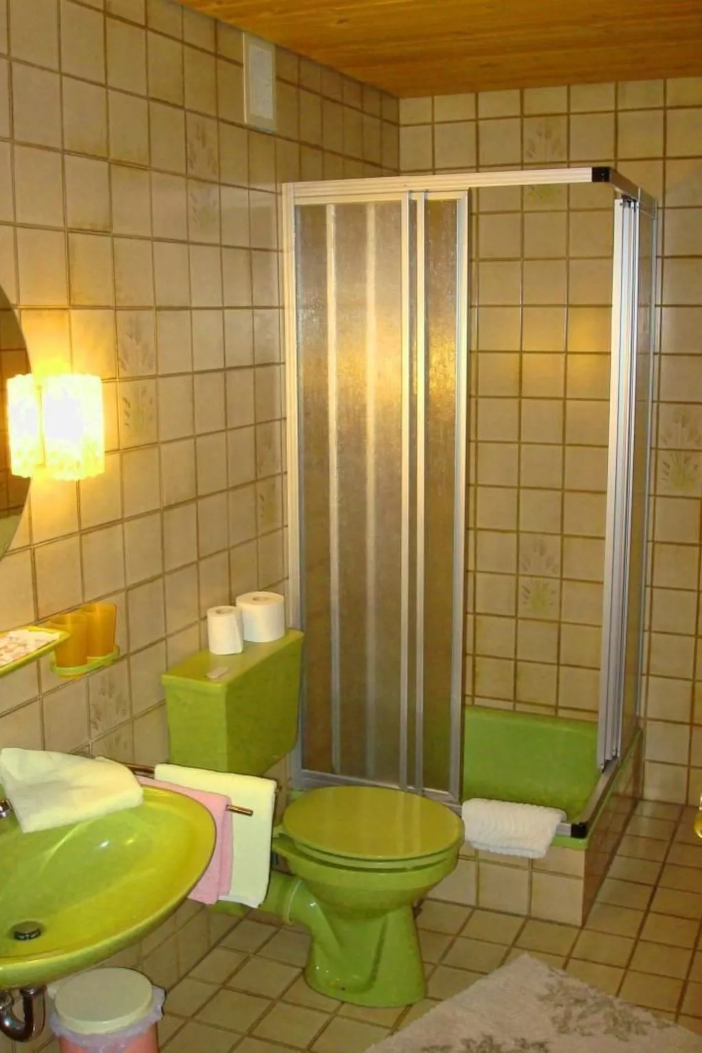 Panoramabergblickwohnung in ruhiger Einzellage-Binnen