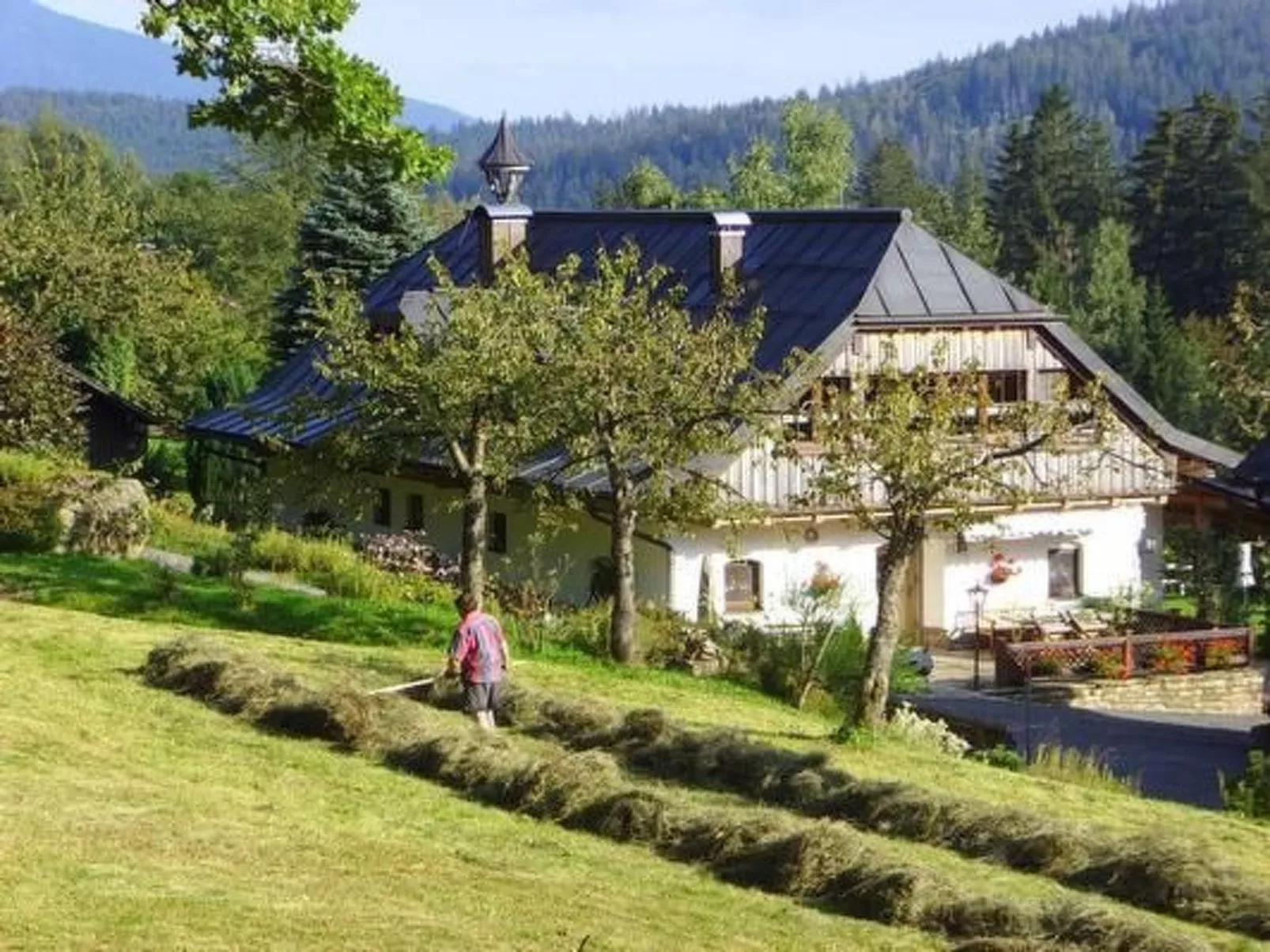 Große Wohnung in Bayerisch Eisenstein - Buiten