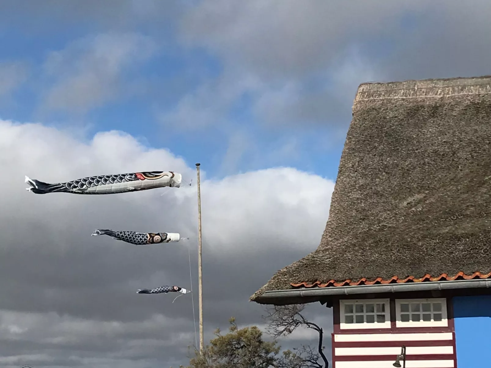 Apartment im Leuchtturmwärterhäuschen-Buiten