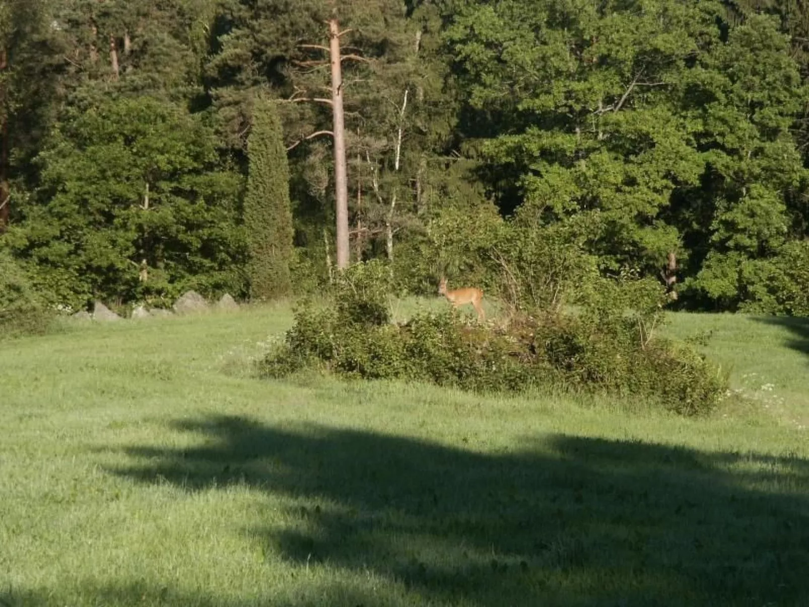 Idyllisches Bauernhaus in Småland-Buiten