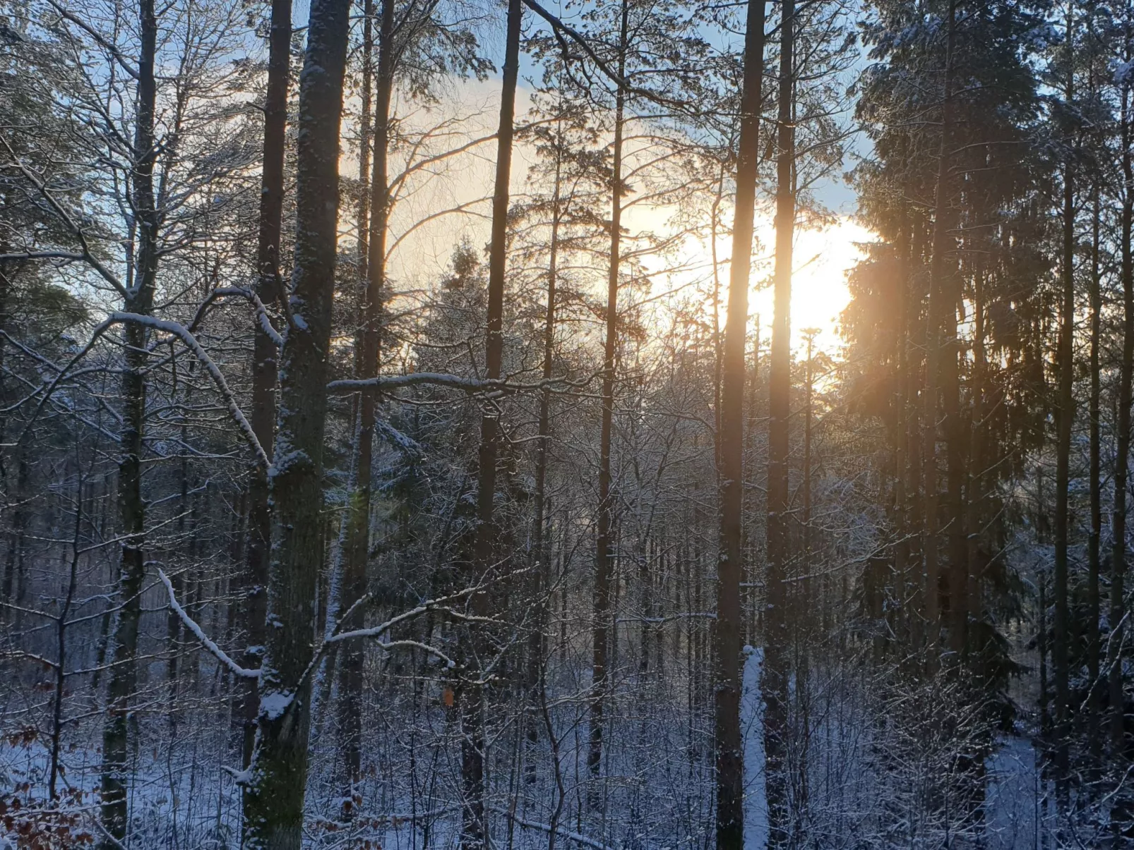 Mit Terrasse, Grill und Garten-Buiten