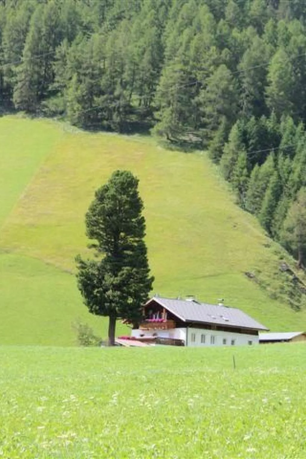 Mit Schwedenofen und großer Terrasse-Image-tags.info