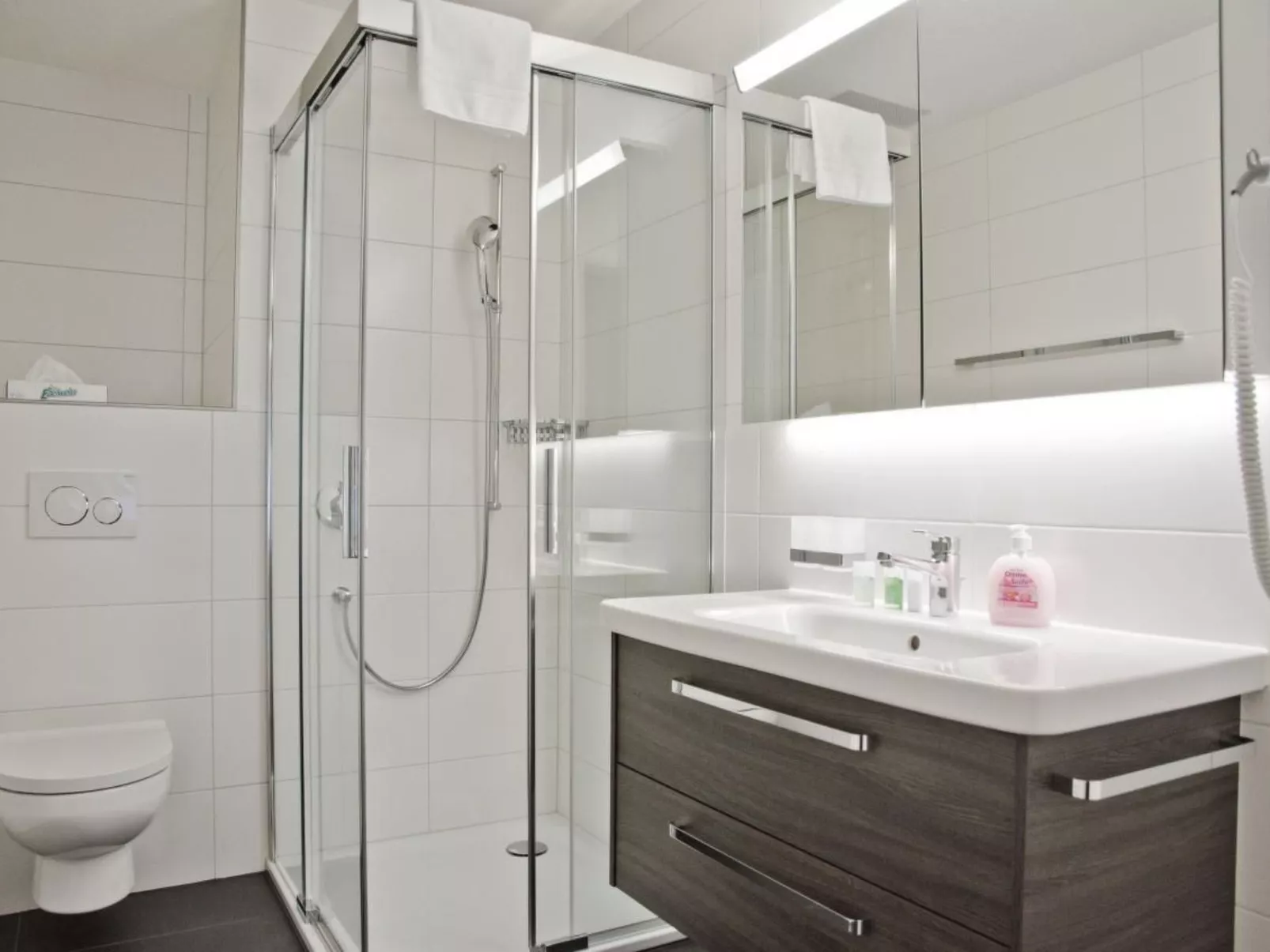 Apt. Alpeglöggli-Binnen