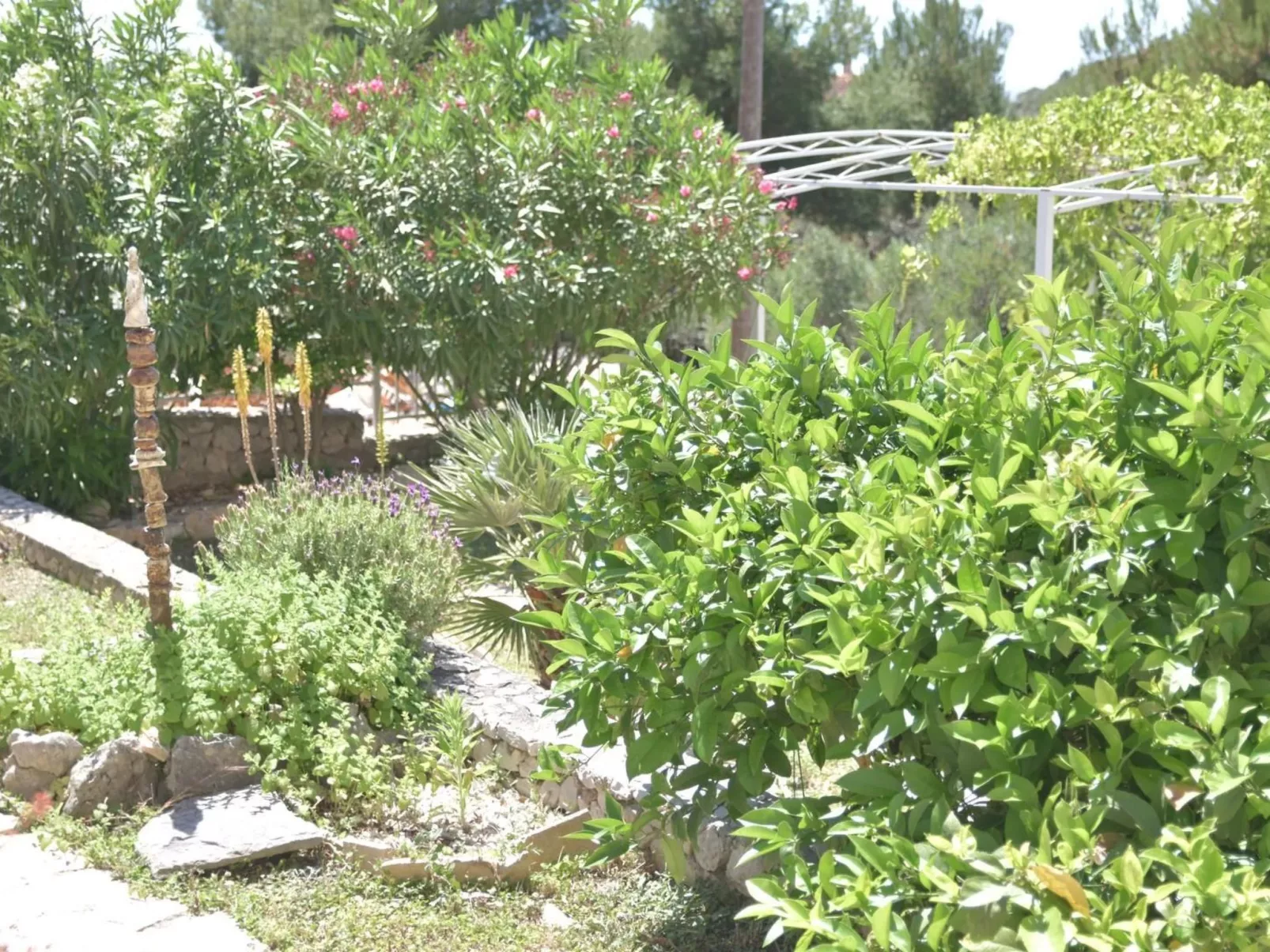 Garten Bungalow-Buiten