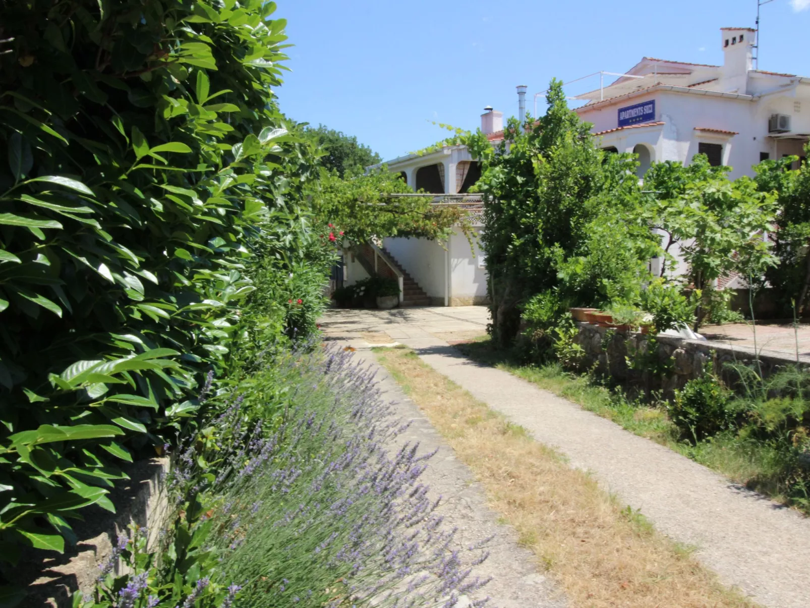 Apartment Andjela-Image-tags.info