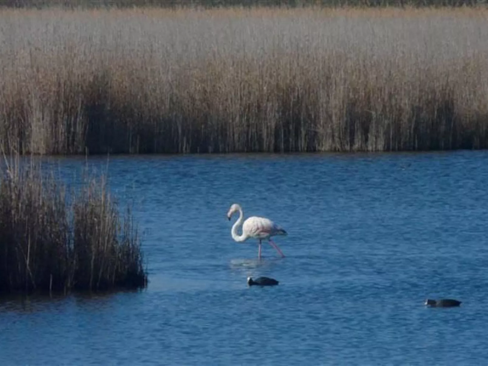 Wohnung mit Balkon-Buiten